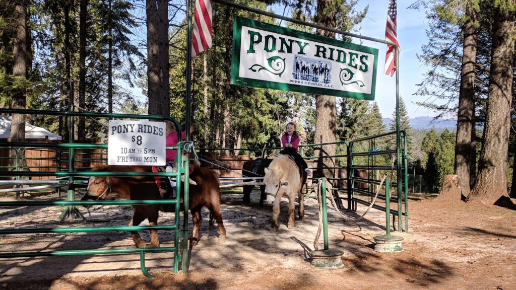 Children's pony rides at Apple Hill.
